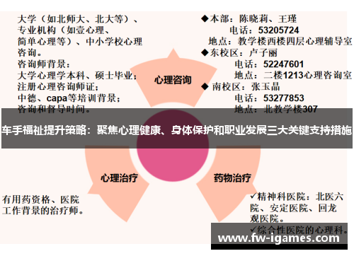 车手福祉提升策略：聚焦心理健康、身体保护和职业发展三大关键支持措施